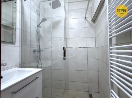 Pronájem bytu, 2+1, 50 m²