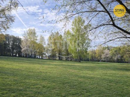 Prodej pozemku pro bydlení, 5 895 m²