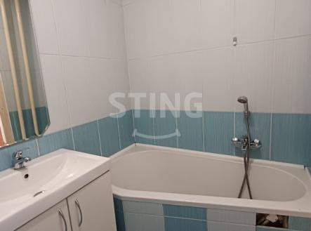 Pronájem bytu, 1+1, 38 m²