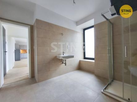 Pronájem bytu, 1+kk, 91 m²