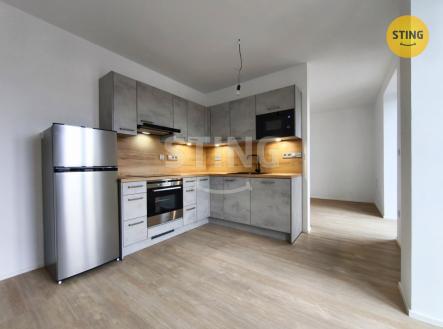 Pronájem bytu, 1+kk, 91 m²