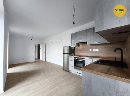Pronájem bytu, 1+kk, 91 m²