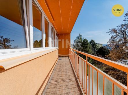 Prodej bytu, 1+1, 45 m²