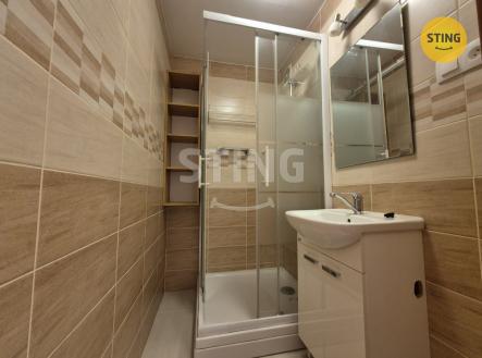 Pronájem bytu, 1+kk, 28 m²