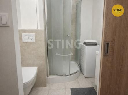 Pronájem bytu, 1+kk, 30 m²