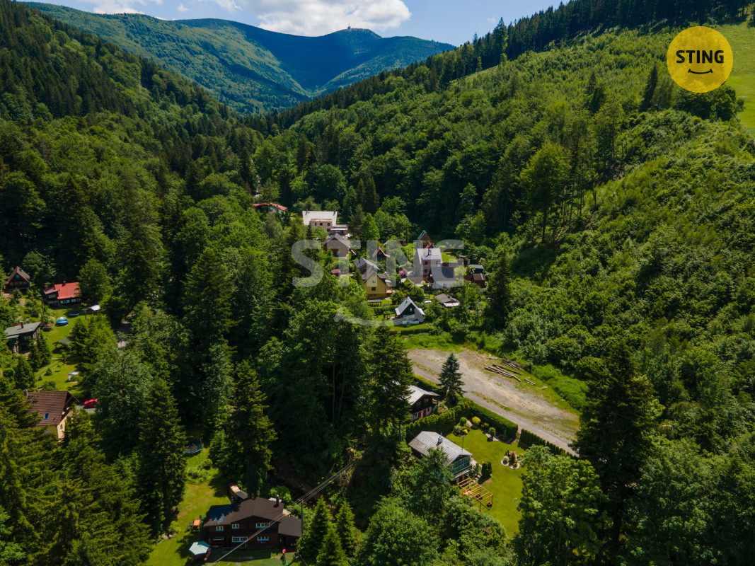 DJI_0142.jpg