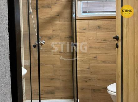 Pronájem bytu, 1+1, 54 m²