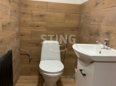 Pronájem bytu, 1+1, 54 m²