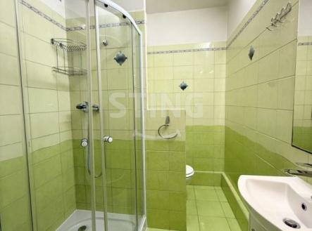 Pronájem bytu, 2+1, 45 m²