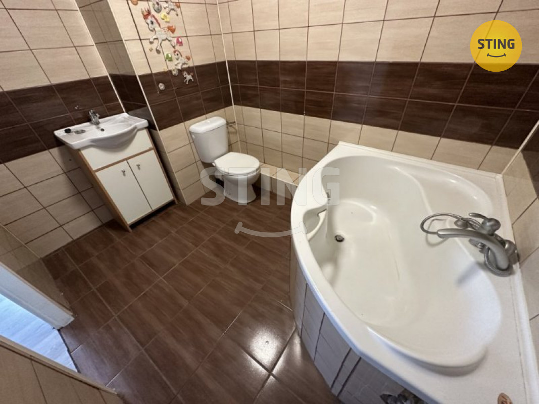 stahování (1).jpeg