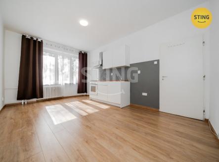 Pronájem bytu, 1+kk, 24 m²
