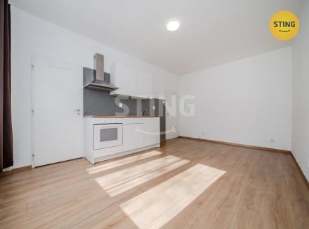 Pronájem bytu, 1+kk, 24 m²