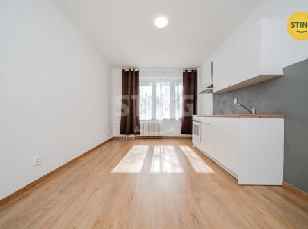 Pronájem bytu, 1+kk, 24 m²