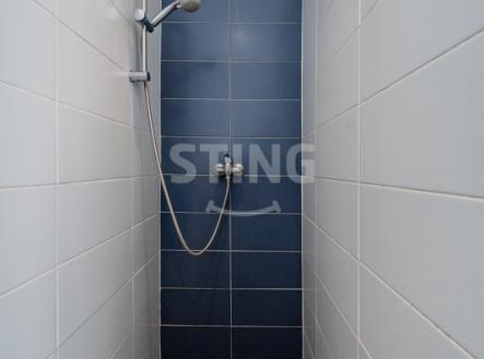 Pronájem bytu, 1+kk, 24 m²