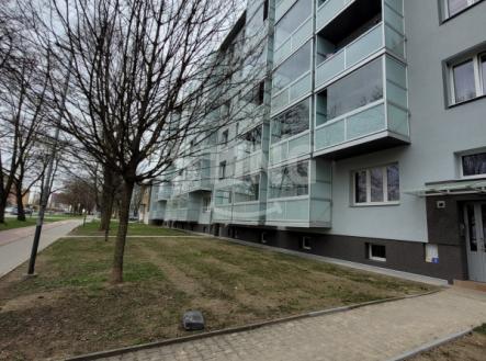 Pronájem bytu, 1+kk, 24 m²