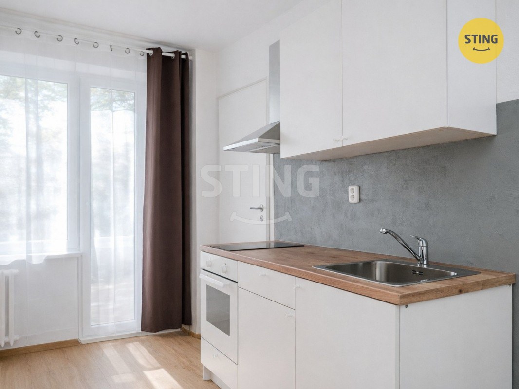 francouzska balkon 1.jpeg
