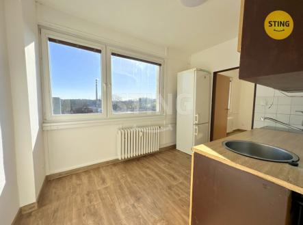 Pronájem bytu, 2+1, 49 m²