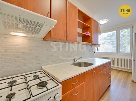 Pronájem bytu, 2+1, 57 m²