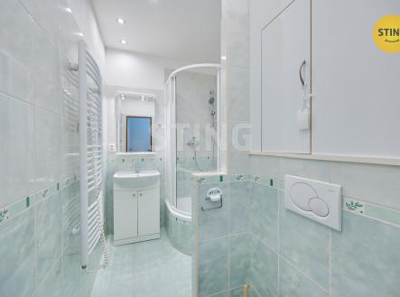 Pronájem bytu, 2+1, 57 m²