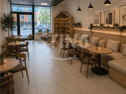 Pronájem obchodní prostory, 254 m²