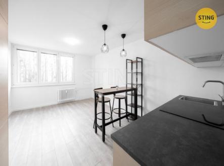 Pronájem bytu, garsoniéra, 24 m²