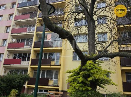 Pronájem bytu, 1+1, 38 m²