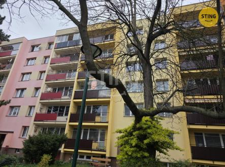 Pronájem bytu, 1+1, 38 m² obrázek