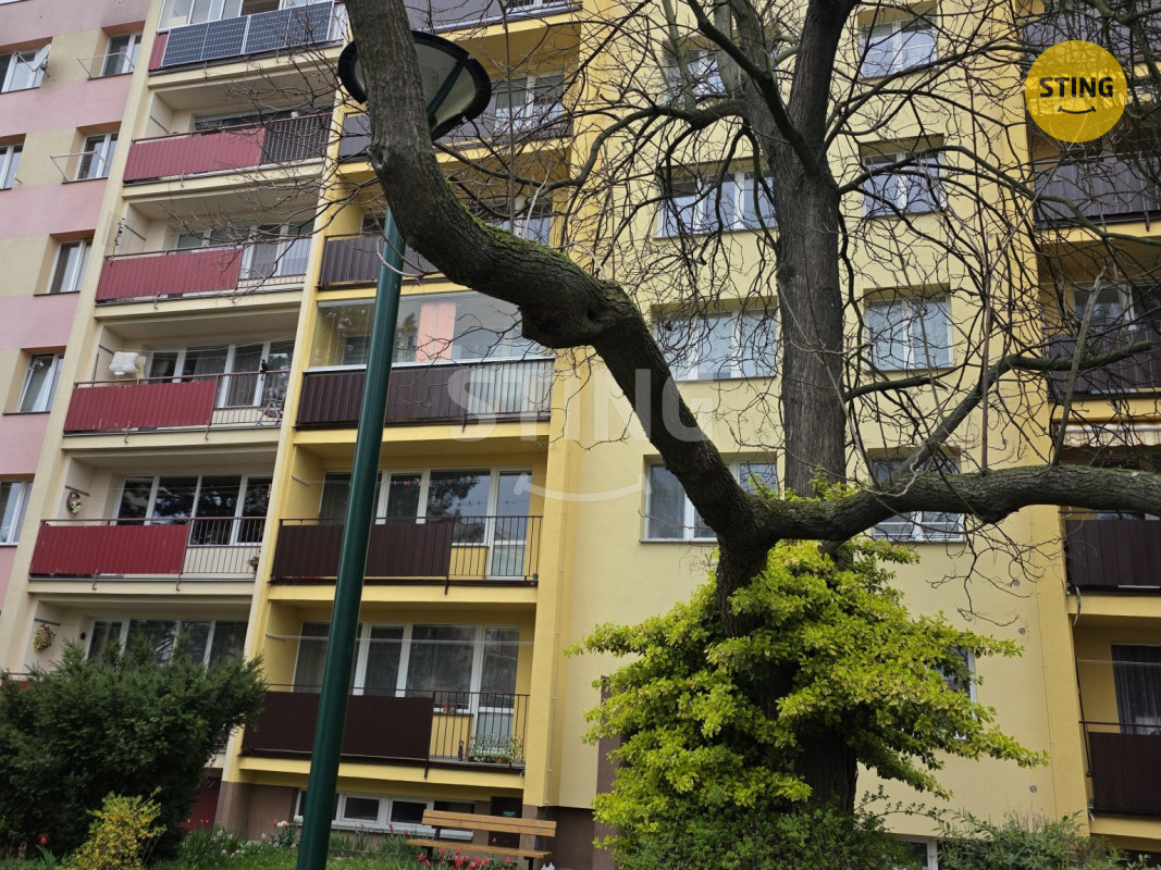 20260415_092340.jpg