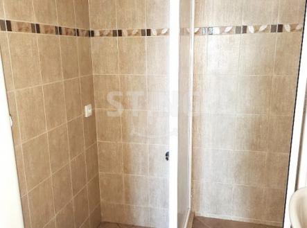 Pronájem bytu, 2+1, 55 m²