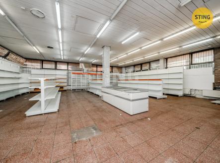 Prodej komerčního objektu, obchodní centrum, 580 m²