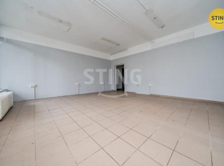 Prodej komerčního objektu, obchodní centrum, 1 300 m²