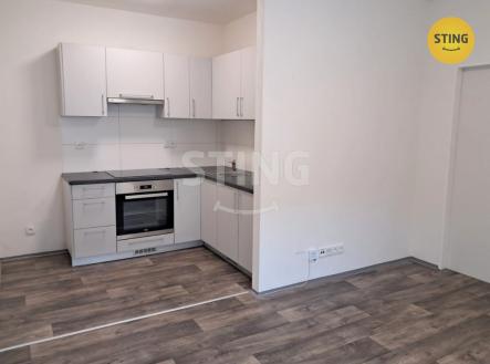 Pronájem bytu, 1+1, 45 m²