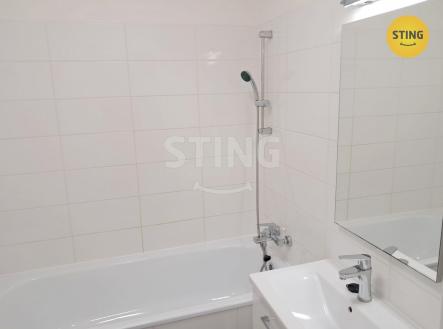 Pronájem bytu, 1+1, 45 m²