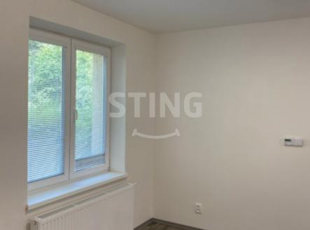 Pronájem bytu, 1+1, 45 m²