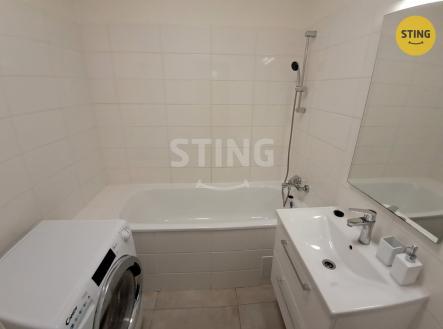 Pronájem bytu, 1+1, 45 m²