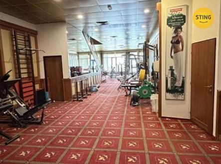 Pronájem obchodní prostor, 530 m²