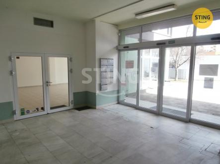 Pronájem obchodní prostor, 240 m²