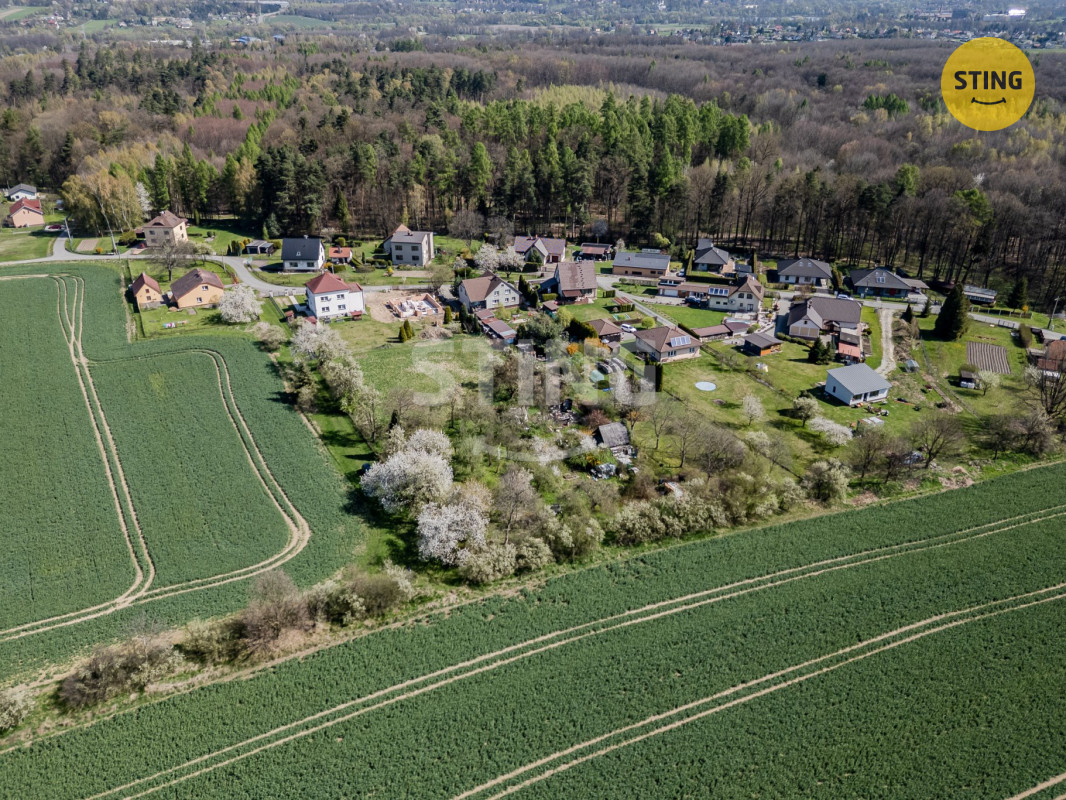 DJI_0206.jpg