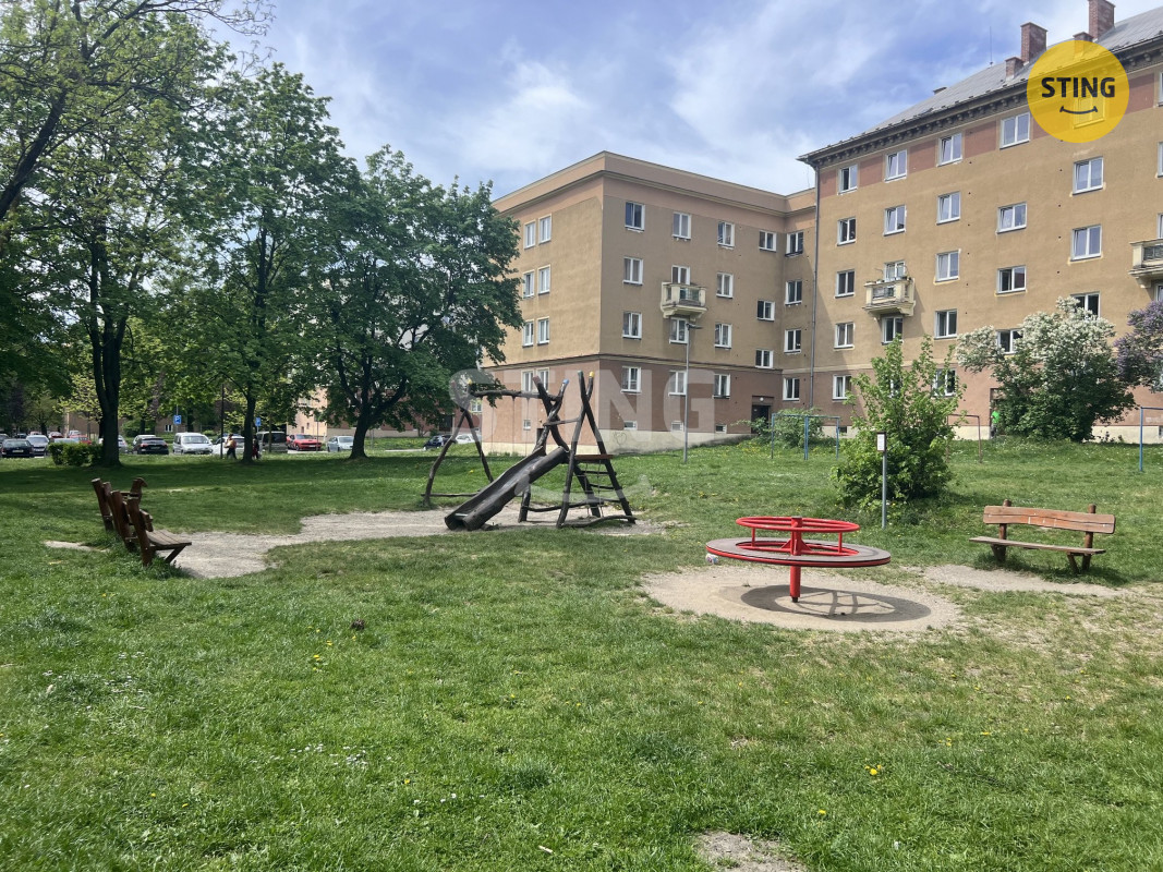 IMG_2997.jpeg