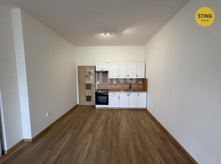 Pronájem bytu, 1+kk, 47 m²