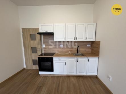 Pronájem bytu, 1+kk, 47 m²