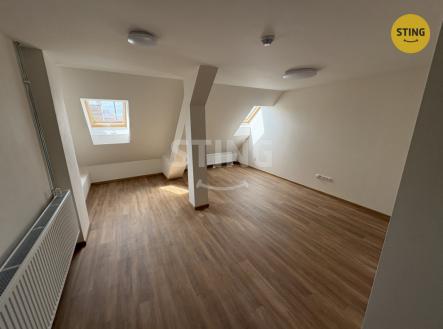 Pronájem bytu, 1+kk, 44 m²