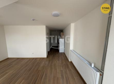 Pronájem bytu, 1+kk, 44 m²