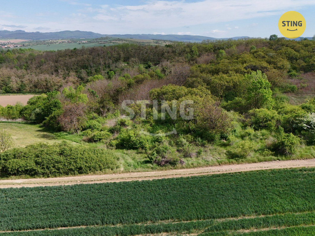 DJI_20260506101132_0001_D.JPG
