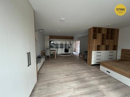 Pronájem bytu, 1+kk, 90 m²