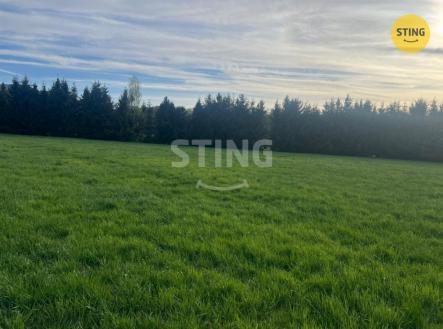 Prodej pozemku, trvalý travní porost, 8 800 m²