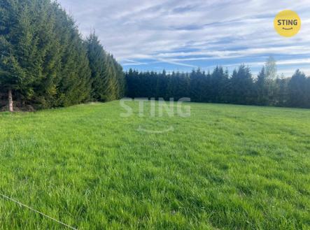 Prodej pozemku, trvalý travní porost, 8 800 m²