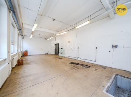 Pronájem jiné komerční nemovitosti, 230 m²