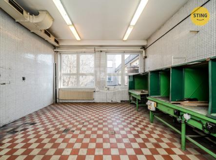 Pronájem jiné komerční nemovitosti, 230 m²