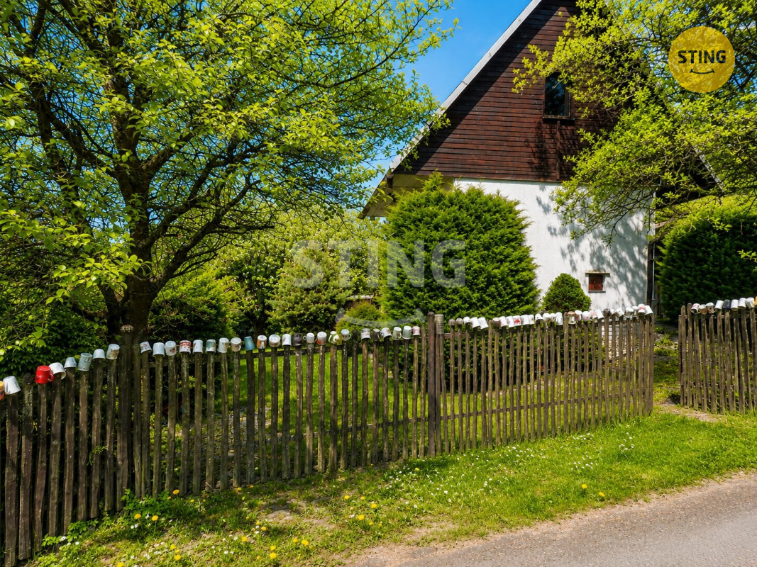 a_bright_sunny_outdoor_scene_of_a_small_house_gard (1).jpg